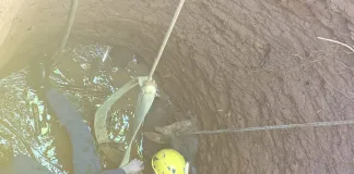 Boi é resgatado de poço em Ipira