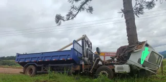 Motorista morre em grave acidente no Oeste de SC