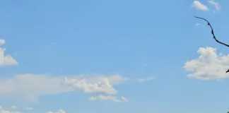 Seguem as buscas por vítima de afogamento no rio Uruguai