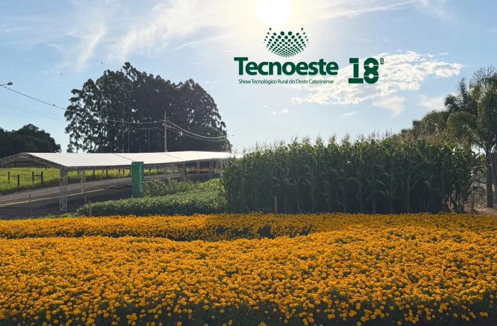 Tecnoeste 2026 aposta em sustentabilidade, conectividade e conforto para receber o público em fevereiro