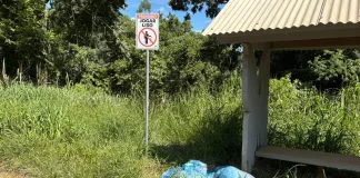Novamente, lixo é despejado irregularmente na entrada para linha Forquilha