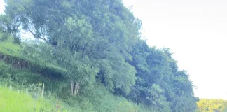 Colisão entre dois carros deixa feridos na SC-154, em Itá