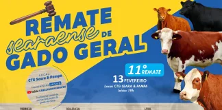 Remate Searaense de Gado Geral é hoje no CTG Seara & Pampa