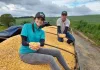 Giro da Safra começa avaliações em Seara (Agro)