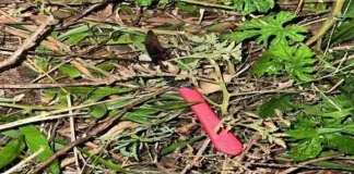 Tentativa de homicídio é registrada no Centro de Xanxerê