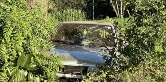 Homem morre atropelado pelo irmão em rodovia no norte do RS