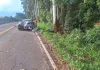Jovem morre após carro sair da pista e bater em árvore no Oeste