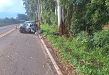 Jovem morre após carro sair da pista e bater em árvore no Oeste