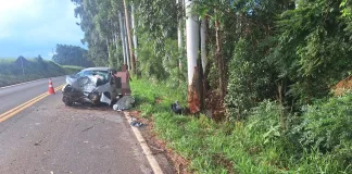 Jovem morre após carro sair da pista e bater em árvore no Oeste