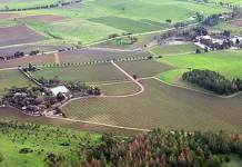 Incentivo à restauração de APPs (Agro)