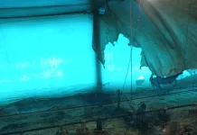 Incêndio atinge aviário em linha Vitória, interior de Seara