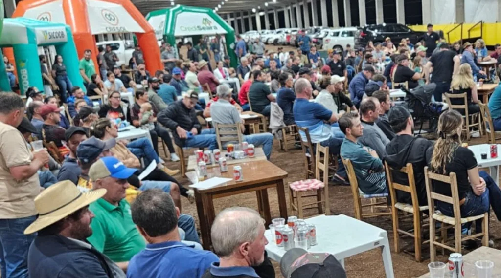 Remate Searaense de Gado tem boa participação