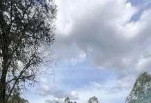 Incêndio destrói casa no interior de Maravilha