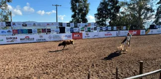Rodeio no CTG Macanudos