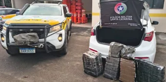 Operação conjunta apreende quase 100 quilos de maconha em Campo Erê
