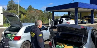 Comboio com 360 quilos de maconha é interceptado no Meio-Oeste catarinense