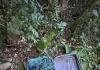 Homem é preso por furto de fios de cobre em Concórdia