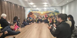 Prefeitura de Concórdia será responsável pela remoção, cuidado e envio para adoção dos mais de 400 gatos em apartamento