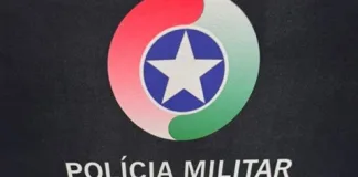 Mulher é presa por furto e posse irregular de arma de fogo no Oeste de SC