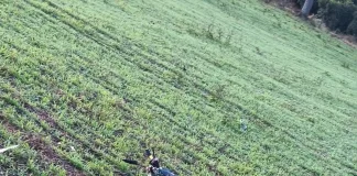 Motociclista fica gravemente ferido após acidente no Oeste de SC