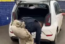PRF intercepta carga de maconha no Meio-Oeste catarinense