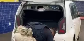 PRF intercepta carga de maconha no Meio-Oeste catarinense