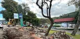 Iniciadas as obras na praça Henriqueta Zanuzzo