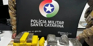 PM prende homem e apreende grande quantidade de entorpecentes em Chapecó