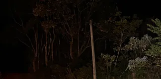 Saída de pista deixa dois feridos na SC-305, em São Lourenço do Oeste