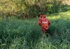 Idoso está desaparecido no interior de Concórdia