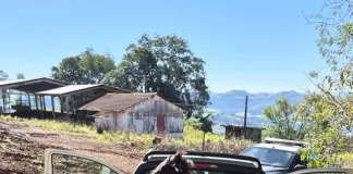 PRF apreende cerca de 15 mil maços de cigarros contrabandeados após perseguição na BR-163
