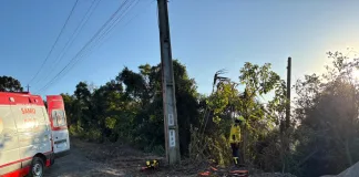 Veículo sai da pista e cai em ribanceira na SC-283 em Seara