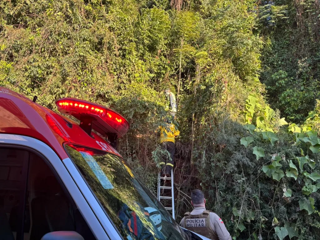 Na manhã desta sexta-feira, um veículo saiu da pista e caiu numa ribanceira na SC-283 em Seara, entre o CTG Seara e Pampa e o trevo do Contorno Viário