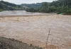 Corpo de mulher em estado de decomposição é localizado em rio do Oeste