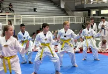Atletas de Taekwondo da SEL de Seara são aprovados em exame de faixas