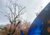 Um espetáculo da natureza!