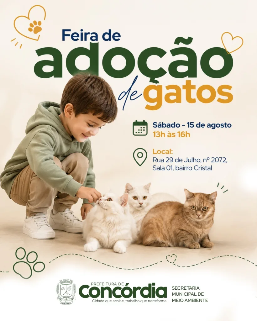 Gatos resgatados em apartamento primeiros animais serão encaminhados para adoção