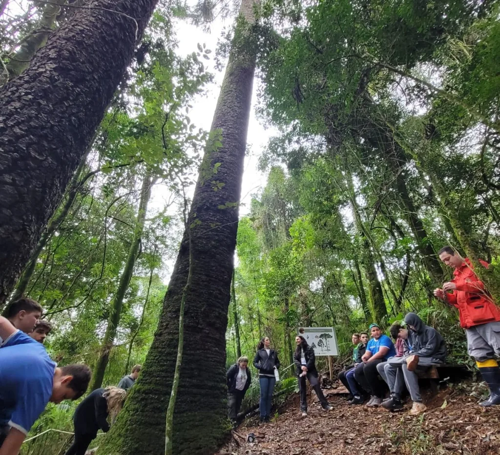 Projeto “A Criança e a Natureza” inicia ciclo de visitas de 2026 em Piratuba