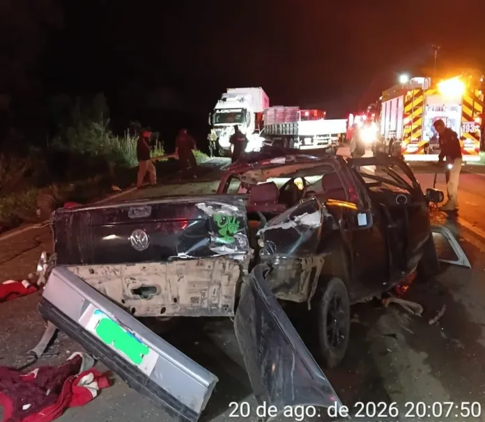 Caminhão de transportadora de Seara se envolve em acidente na BR-470