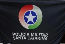 Homem preso por posse irregular de arma de fogo