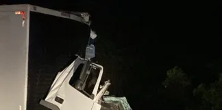 Motorista morre em colisão frontal entre dois caminhões na BR-282, em Ponte Serrada