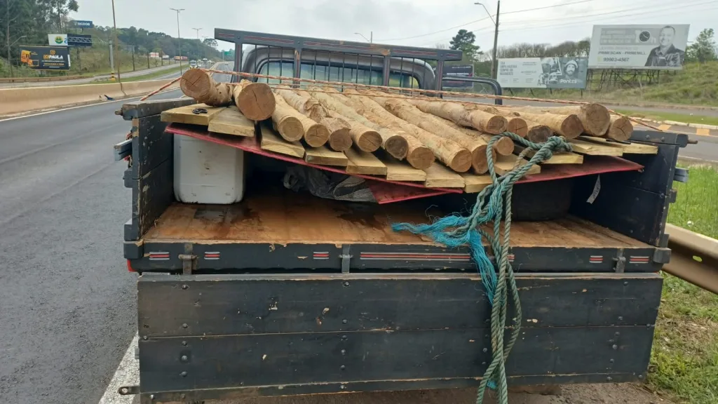 PRF apreende meio tonelada de agrotóxico contrabandeado escondido sob toras de madeira no Oeste de SC