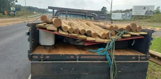 PRF apreende meio tonelada de agrotóxico contrabandeado escondido sob toras de madeira no Oeste de SC