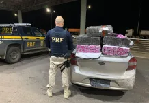 PRF apreende 100 quilos de maconha no Oeste Catarinense