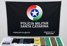 PM apreende drogas e recupera moto furtada em Chapecó