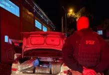 Homem que transportava 210 quilos de maconha tenta fugir, mas acaba preso pela PRF no Oeste catarinense