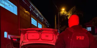 Homem que transportava 210 quilos de maconha tenta fugir, mas acaba preso pela PRF no Oeste catarinense