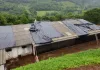 granja feliz