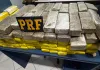 Operação Nexus PRF intercepta 100 kg de maconha no Oeste de SC