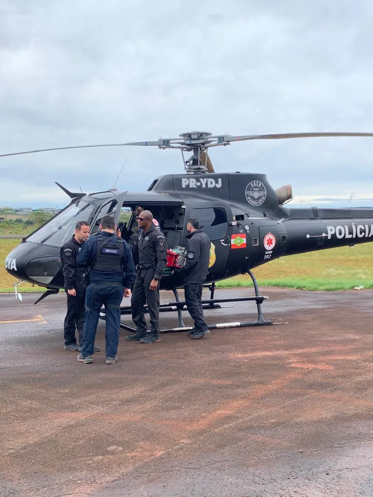 Trabalhador de 23 anos fica ferido após queda de árvore em Faxinal dos Guedes